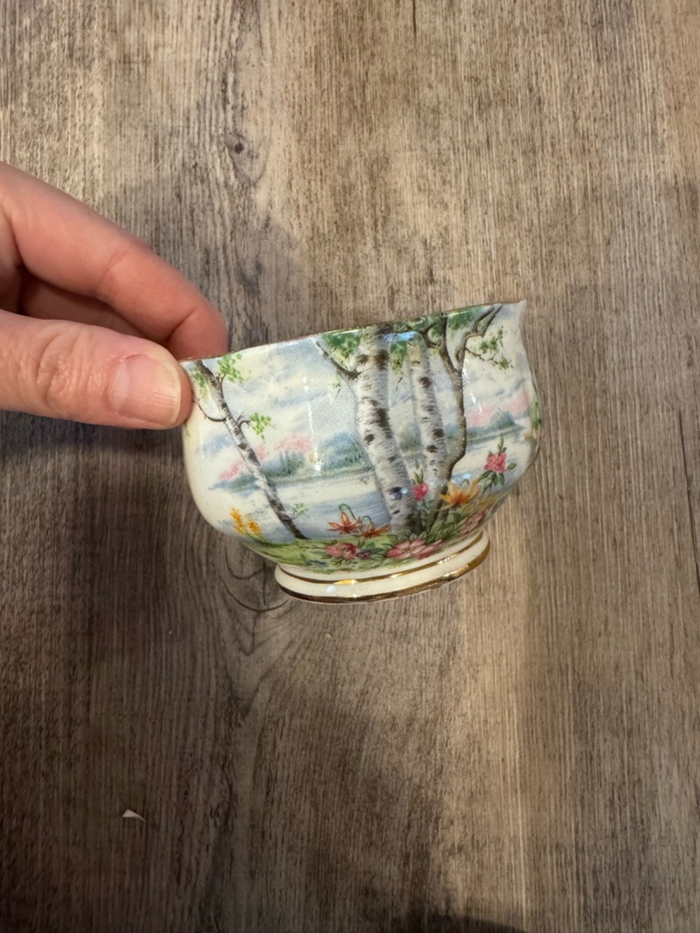 Royal albert silver birch cream dish